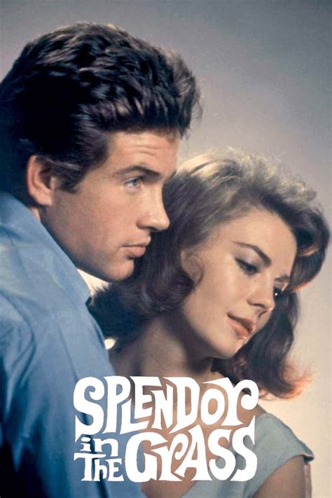 who played in splendor in the grass movie